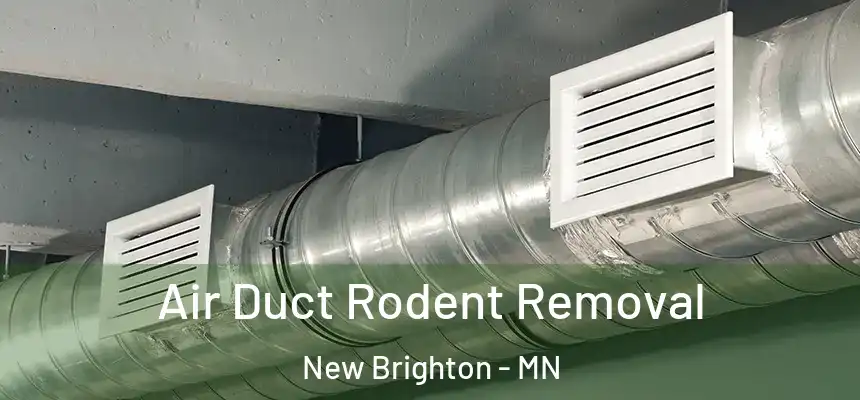 Air Duct Rodent Removal New Brighton - MN