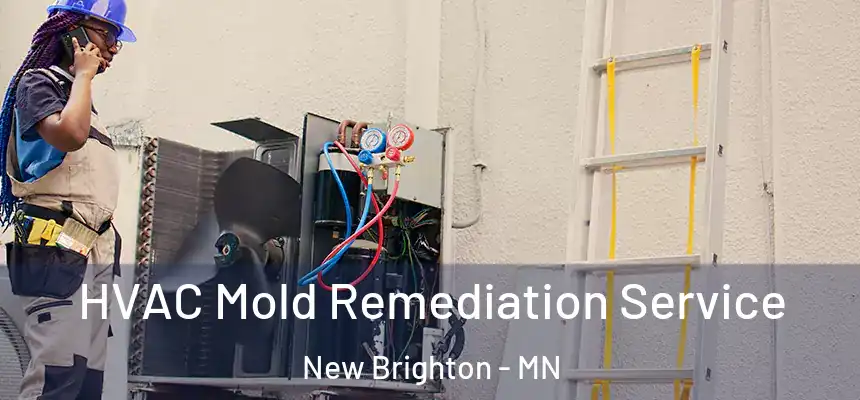  HVAC Mold Remediation Service New Brighton - MN
