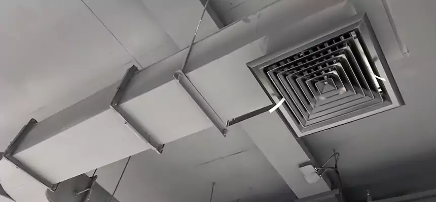 Restorative Allergy Relief Vent Cleaning – Coil, Blower & Housing Detail in New Brighton