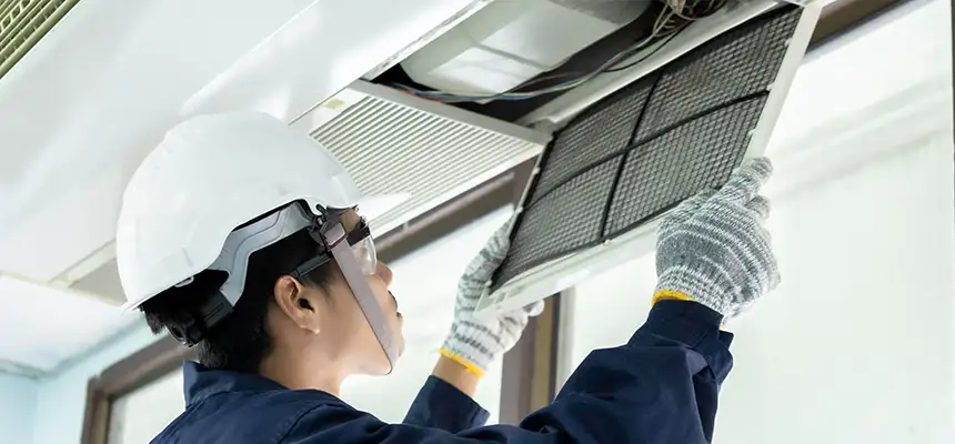 Our Lint Trap Cleaning Service Services in New Brighton, MN