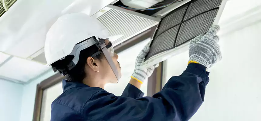 Our Mold & Mildew Removal from Air Ducts Services in New Brighton, MN