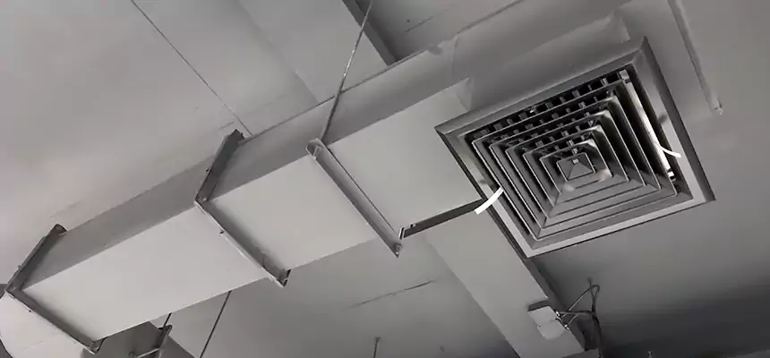 Our Pest Removal From Ducts Services in New Brighton, MN