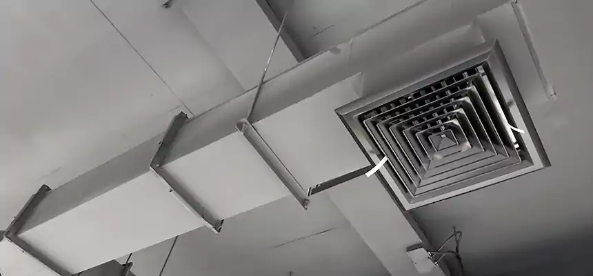 Our Rodent Droppings In Vents Services in New Brighton, MN