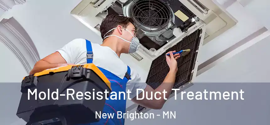  Mold-Resistant Duct Treatment New Brighton - MN