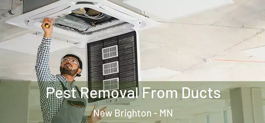 Pest Removal From Ducts New Brighton - MN