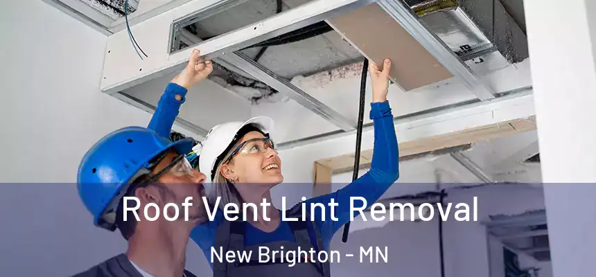 Roof Vent Lint Removal New Brighton - MN