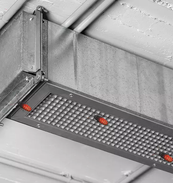 About Air Duct Cockroach Removal in New Brighton, MN
