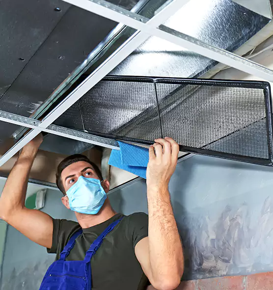 Professional Air Duct Pollen Cleaning in New Brighton, MN