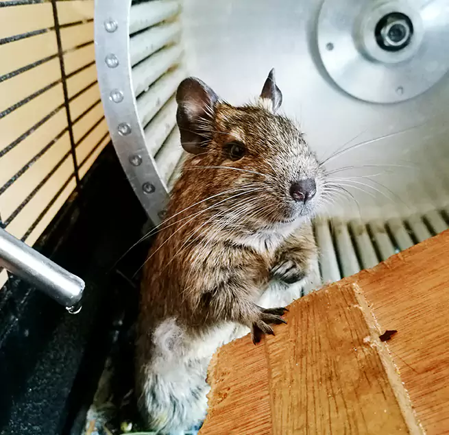 Why Homeowners & Businesses Trust Us New Brighton, MN