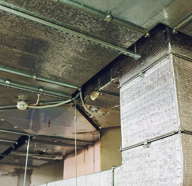 Why Homeowners & Businesses Trust Us in New Brighton, MN?